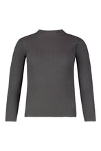 Load image into Gallery viewer, Petite Ribbed Turtle Neck Jumper
